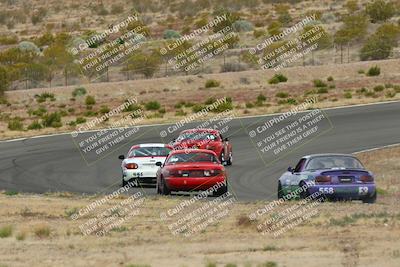 media/May-03-2025-Lucky Dog Racing (Sat) [[206de64b9d]]/Turn 2 (1020am-1120am)/